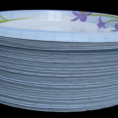 Paper Plates