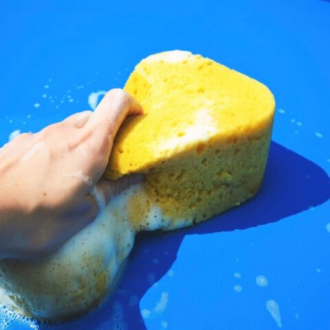 Scrub Sponges